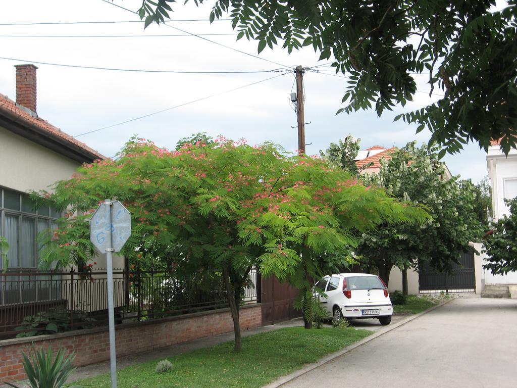 Green Apartment Novi Sad Eksteriør bilde