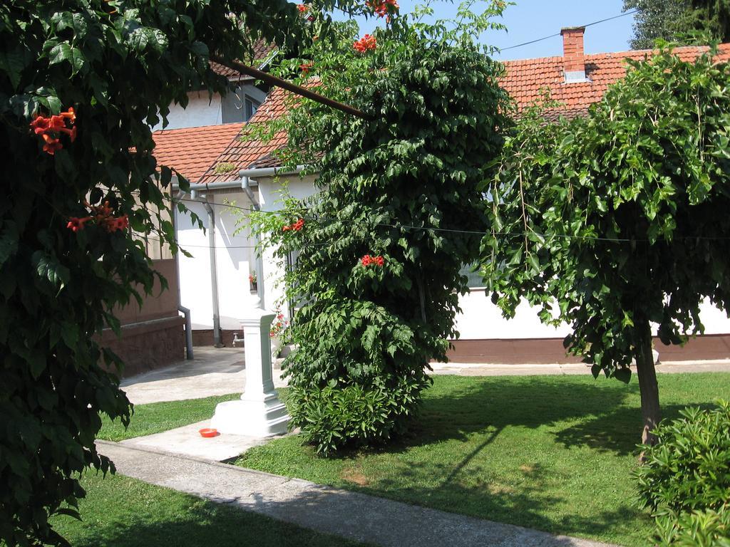 Green Apartment Novi Sad Eksteriør bilde